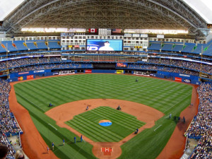 Grass at Rogers Centre